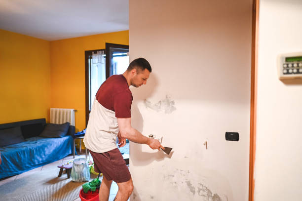Best Residential Mold Remediation in Remgton, IN